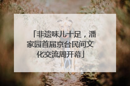 非遗味儿十足，潘家园首届京台民间文化交流周开幕