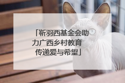 靳羽西基金会助力广西乡村教育 传递爱与希望