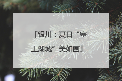 银川：夏日“塞上湖城”美如画