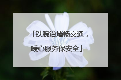 铁腕治堵畅交通，暖心服务保安全