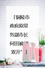 铜陵市政府原常务副市长何田被“双开”