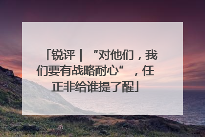 锐评｜“对他们，我们要有战略耐心”，任正非给谁提了醒