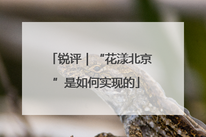 锐评｜“花漾北京”是如何实现的