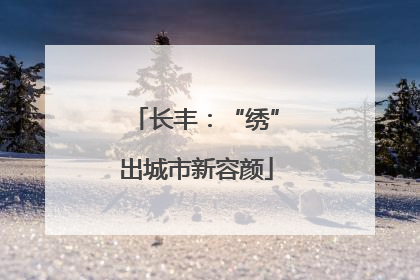 长丰：“绣”出城市新容颜