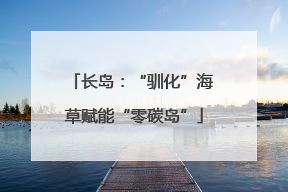 长岛：“驯化”海草赋能“零碳岛”