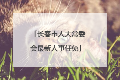 长春市人大常委会最新人事任免