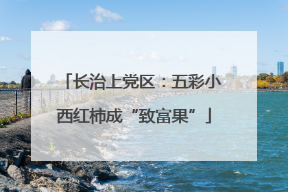 长治上党区：五彩小西红柿成“致富果”