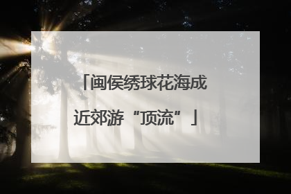 闽侯绣球花海成近郊游“顶流”