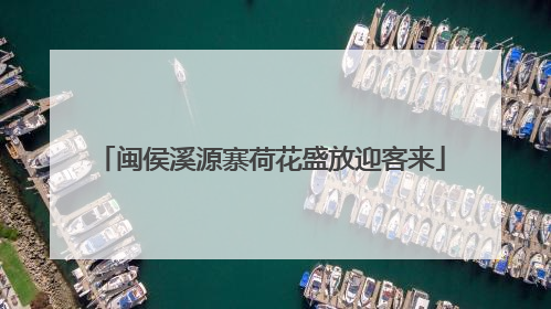 闽侯溪源寨荷花盛放迎客来