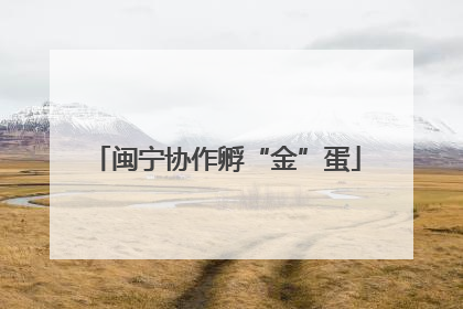 闽宁协作孵“金”蛋