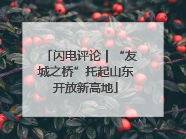 闪电评论｜“友城之桥”托起山东开放新高地