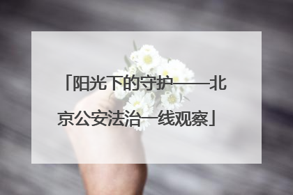 阳光下的守护——北京公安法治一线观察