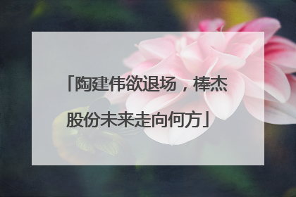 陶建伟欲退场，棒杰股份未来走向何方