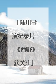 陆川导演纪录片《西野》获关注