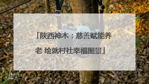 陕西神木：慈善赋能养老 绘就村社幸福图景