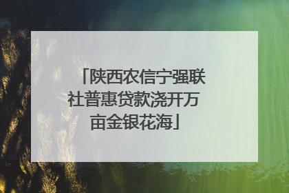 陕西农信宁强联社普惠贷款浇开万亩金银花海
