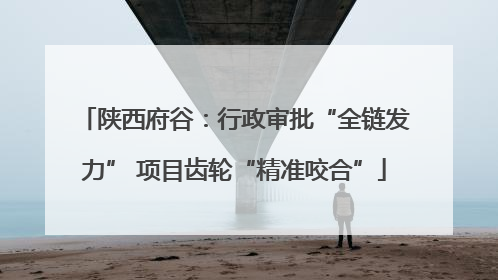 陕西府谷：行政审批“全链发力” 项目齿轮“精准咬合”