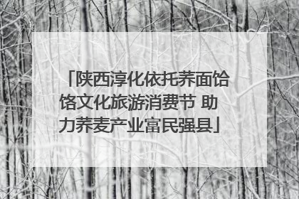 陕西淳化依托荞面饸饹文化旅游消费节 助力荞麦产业富民强县