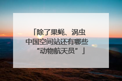 除了果蝇、涡虫 中国空间站还有哪些“动物航天员”
