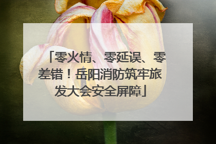 零火情、零延误、零差错！岳阳消防筑牢旅发大会安全屏障