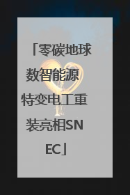 零碳地球数智能源 特变电工重装亮相SNEC