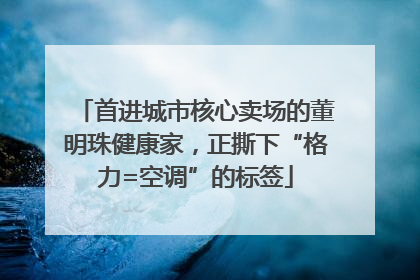 首进城市核心卖场的董明珠健康家，正撕下“格力=空调”的标签