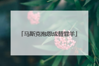 马斯克抱怨成替罪羊