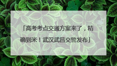 高考考点交通方案来了，精确到米！武汉武昌交警发布