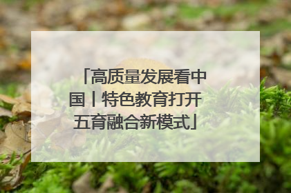 高质量发展看中国丨特色教育打开五育融合新模式