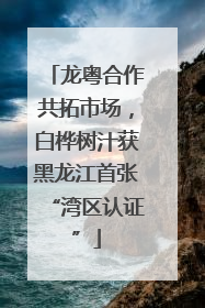 龙粤合作共拓市场，白桦树汁获黑龙江首张“湾区认证”