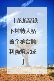 龙龙高铁下村特大桥首个承台顺利浇筑完成