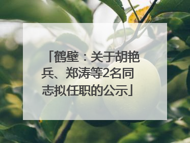 鹤壁：关于胡艳兵、郑涛等2名同志拟任职的公示