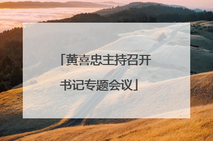 黄喜忠主持召开书记专题会议