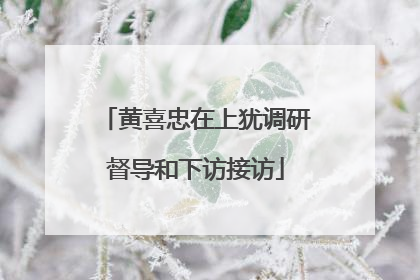 黄喜忠在上犹调研督导和下访接访