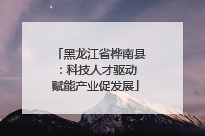 黑龙江省桦南县：科技人才驱动 赋能产业促发展