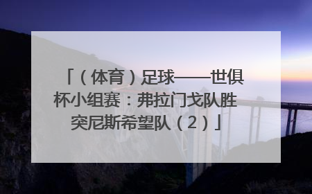 （体育）足球——世俱杯小组赛：弗拉门戈队胜突尼斯希望队（2）