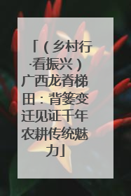 （乡村行·看振兴）广西龙脊梯田：背篓变迁见证千年农耕传统魅力
