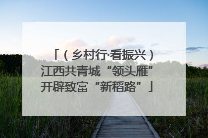 （乡村行·看振兴）江西共青城“领头雁”开辟致富“新稻路”