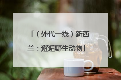 （外代一线）新西兰：邂逅野生动物