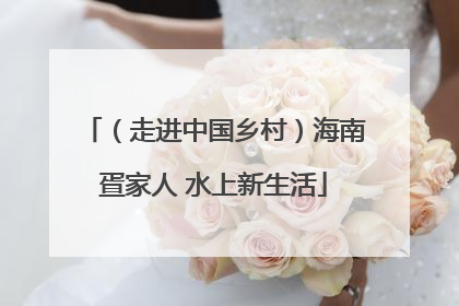（走进中国乡村）海南疍家人 水上新生活