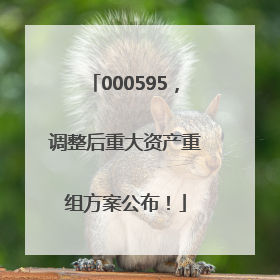 000595，调整后重大资产重组方案公布！