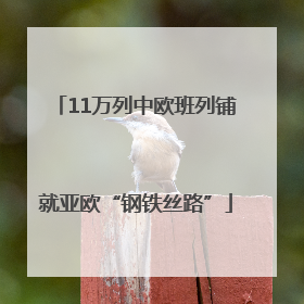 11万列中欧班列铺就亚欧“钢铁丝路”