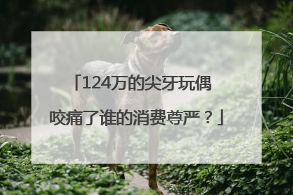 124万的尖牙玩偶 咬痛了谁的消费尊严？