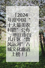 2024年度中国“十大最美农村路”公布，枣庄市台儿庄区“鲁风运河”古城文化廊道上榜！