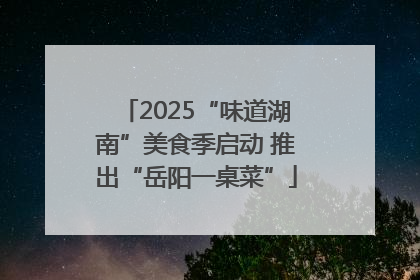 2025“味道湖南”美食季启动 推出“岳阳一桌菜”