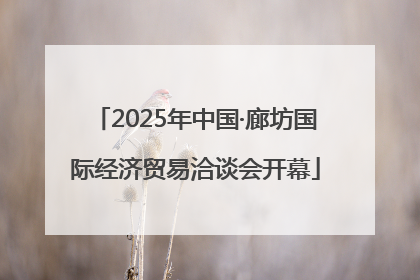 2025年中国·廊坊国际经济贸易洽谈会开幕