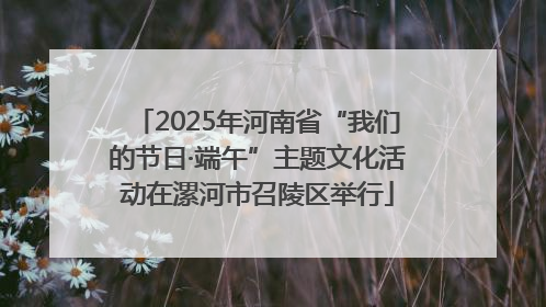 2025年河南省“我们的节日·端午”主题文化活动在漯河市召陵区举行