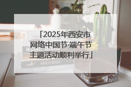 2025年西安市网络中国节·端午节主题活动顺利举行