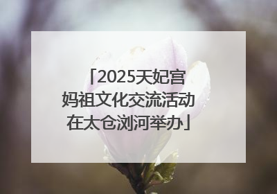2025天妃宫妈祖文化交流活动在太仓浏河举办