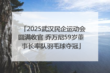 2025武汉民企运动会圆满收官 乔万尼59岁董事长率队羽毛球夺冠